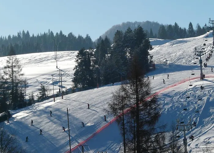 W Cieniu Akacji Apartamento *