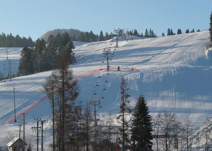 Apartamento W Cieniu Akacji Jaworki