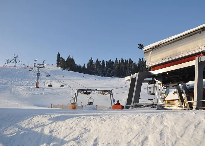 W Cieniu Akacji Apartamento