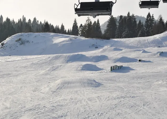 W Cieniu Akacji * Jaworki