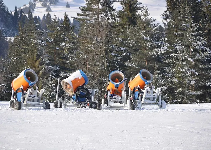 W Cieniu Akacji Apartamento