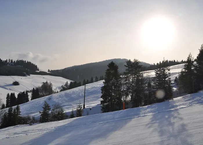 Apartamento W Cieniu Akacji